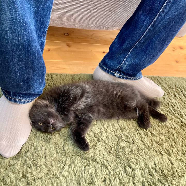 5a544f13 f0f7 48cb a311 987382ce0dc6 1699666334152