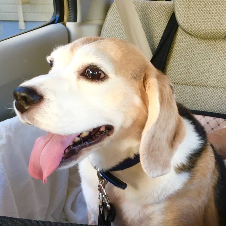 5a547e31 5d16 4cb2 9a7b bfe655d22486 1572917964682