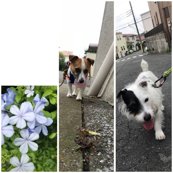 5a5486cc 9c89 40aa 8fae 4e266186b8c0 1532388323725