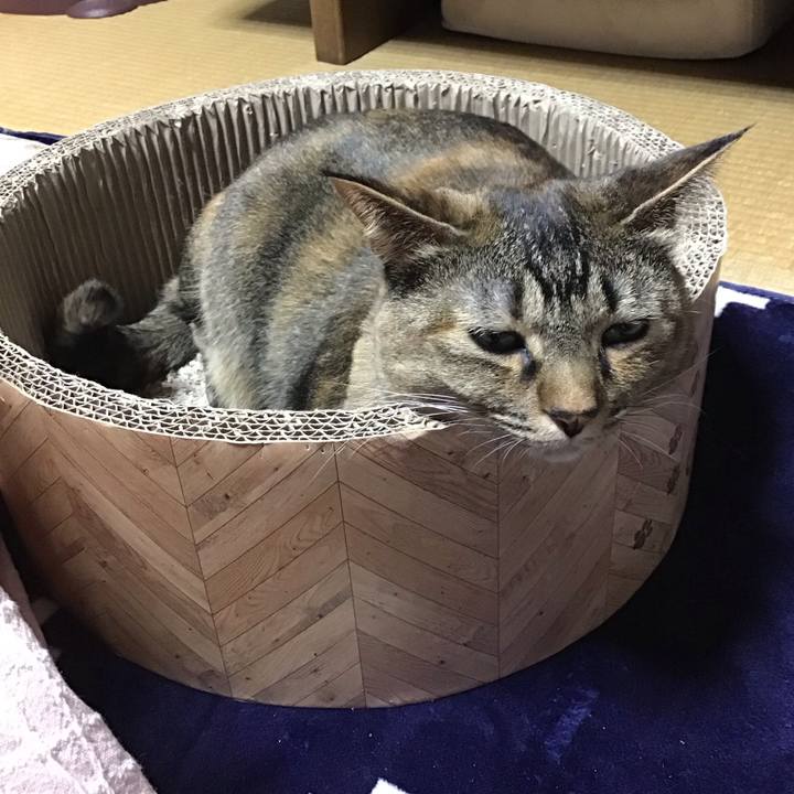 5a548d2e 7d2b 4c80 8158 c0391407f63b 1703754974070