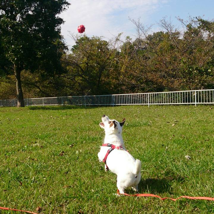 5a54aeab f6fc 4b79 8ec3 dbf70054d23a 1510269643369