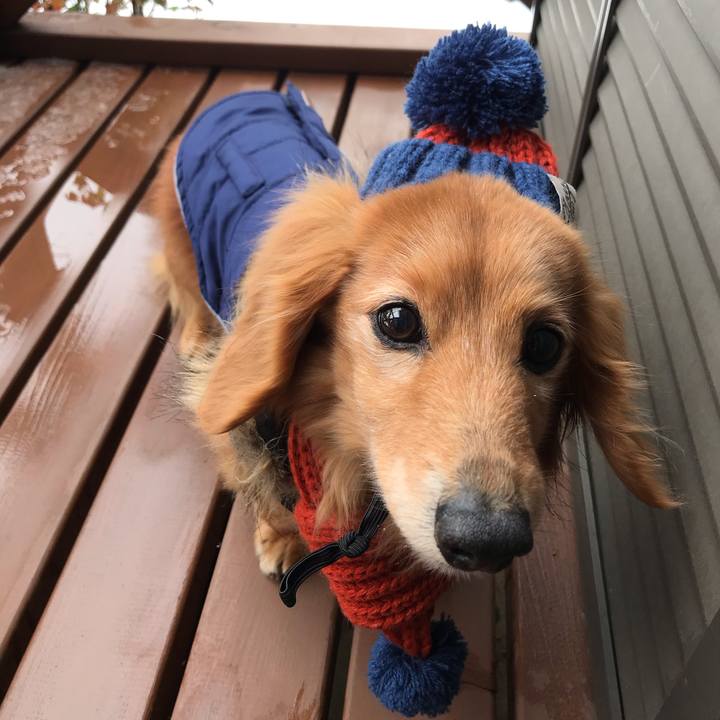 5a54e637 9014 4f49 8b56 7897685fa673 1585457547835