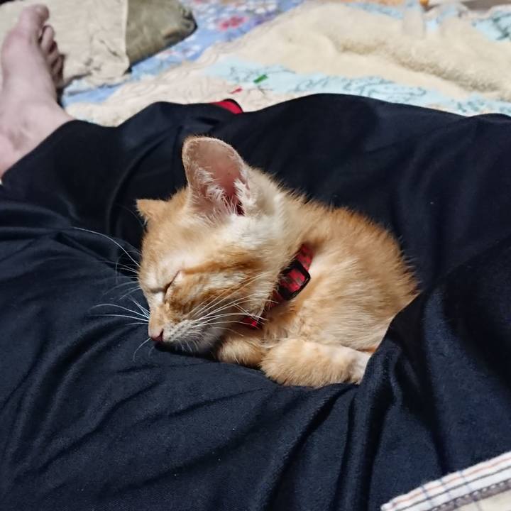 5a556982 e903 4ce3 9bef 823f995f0cde 1628597746707