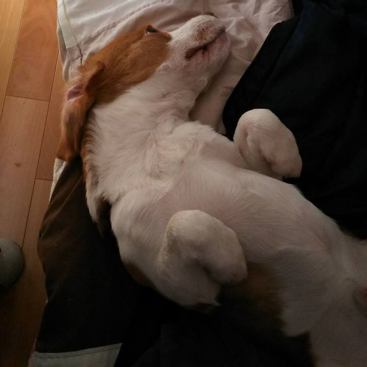 5a557081 8d9a 4594 bf07 4cd8f30e0bf6 1554473416941