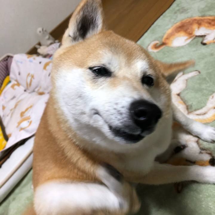 5a55950c 471b 4565 94bd 13388da68395 1605266739742