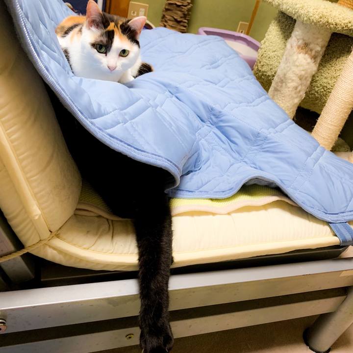 5a55a956 d33f 43c5 88d3 c892e6647452 1563069092565