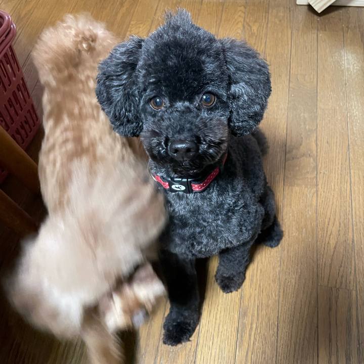 5a55b551 2e3b 4f46 ba81 ff5761e90d51 1642831775459