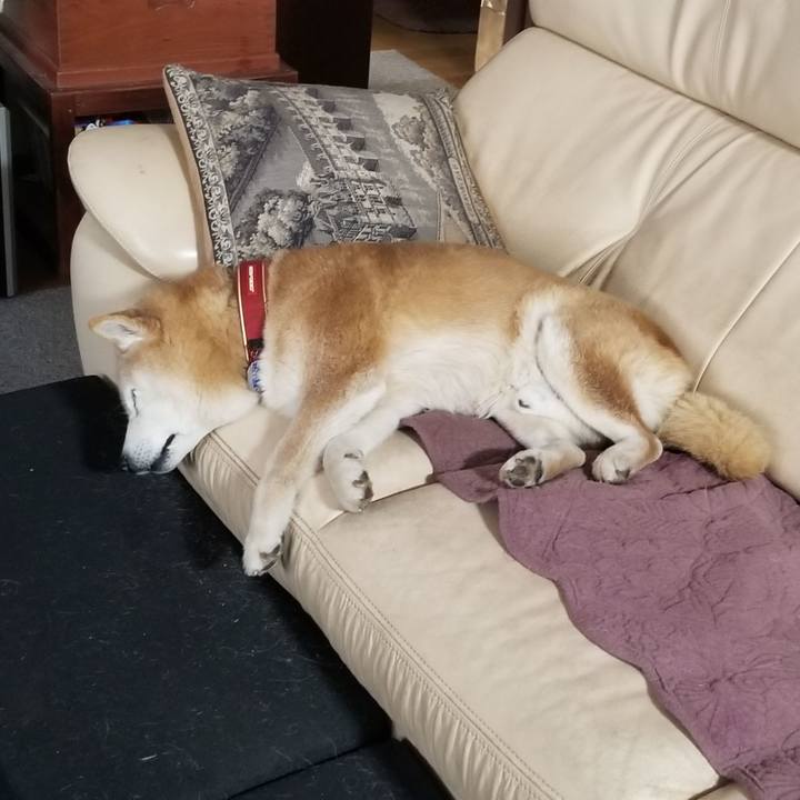 5a55d85e 1e6f 403b 864e 73b9442700d5 1742024199244