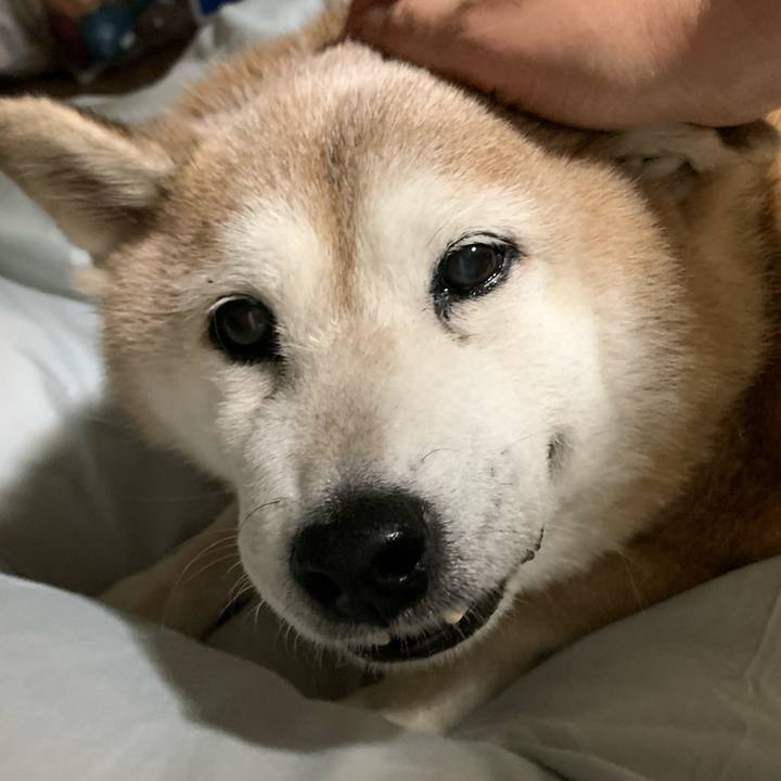 5a55d96e 6bb3 4222 97fe e7843c318aa9 1638710992033