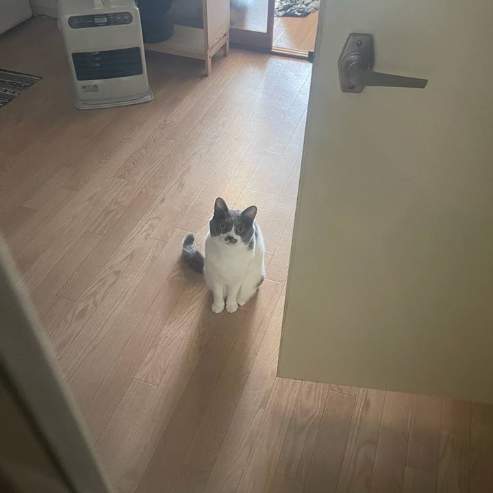 5a55d9e0 4b5b 4b4e a85e d1677a0b7c0b 1700804160561