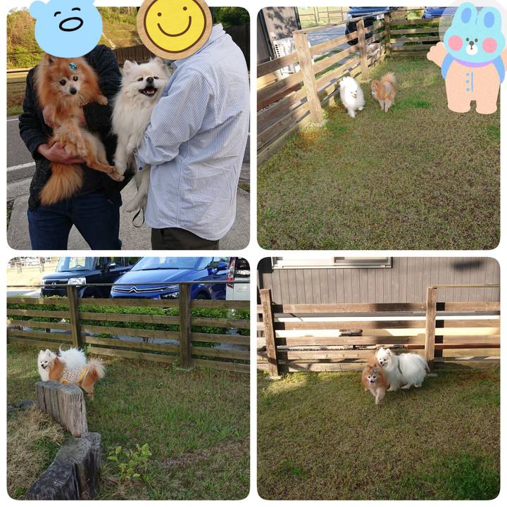 5a55dba2 1063 4e2d b49a 78107f94de9f 1683121513973