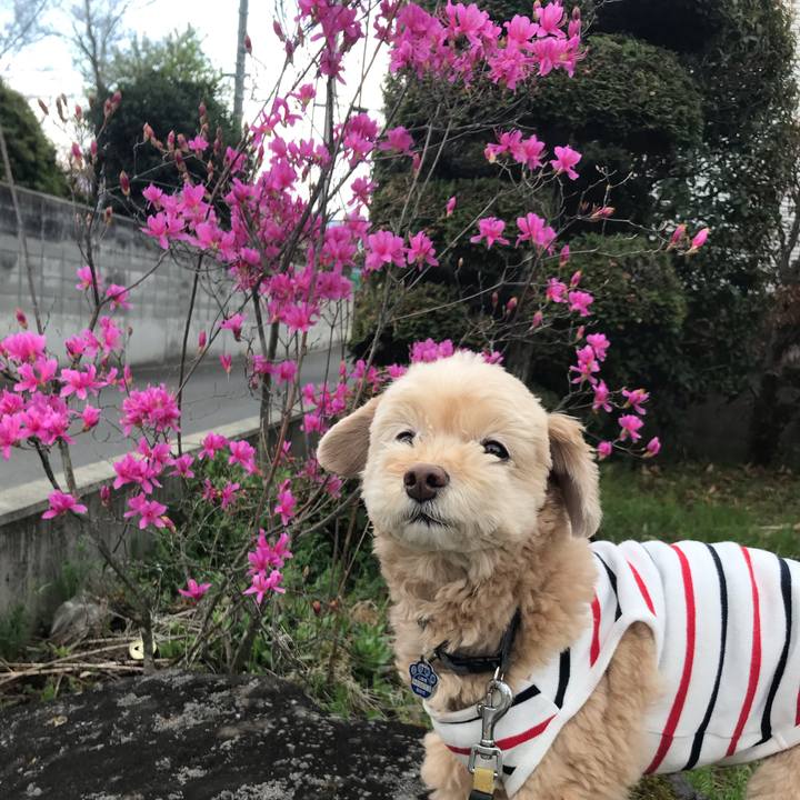 5a55e1aa e048 447d 9fa3 1e1d9f0bc464 1554799065332