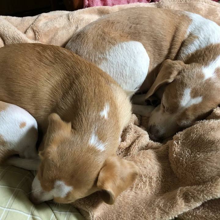 5a55f06c e3f3 4ac2 8820 129c79cb0eea 1517440112687