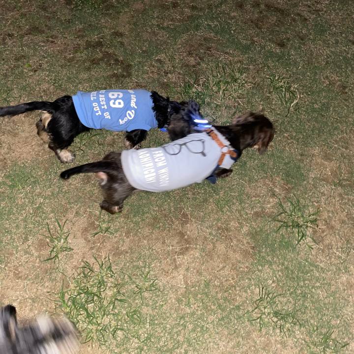 5a569aea a38c 4e6a ba50 95918e984812 1592237343909