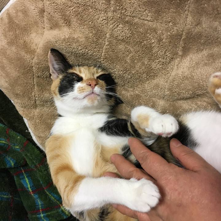 5a56a8e9 3406 47c5 bbed 007a1580600f 1518958644669