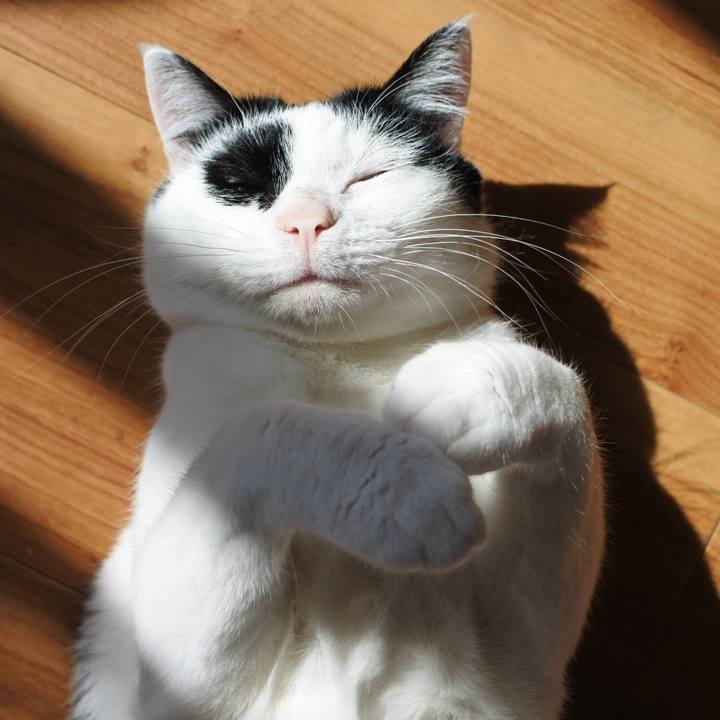 5a56ab5d c881 4584 81d3 cfbc27833eba 1586153691311