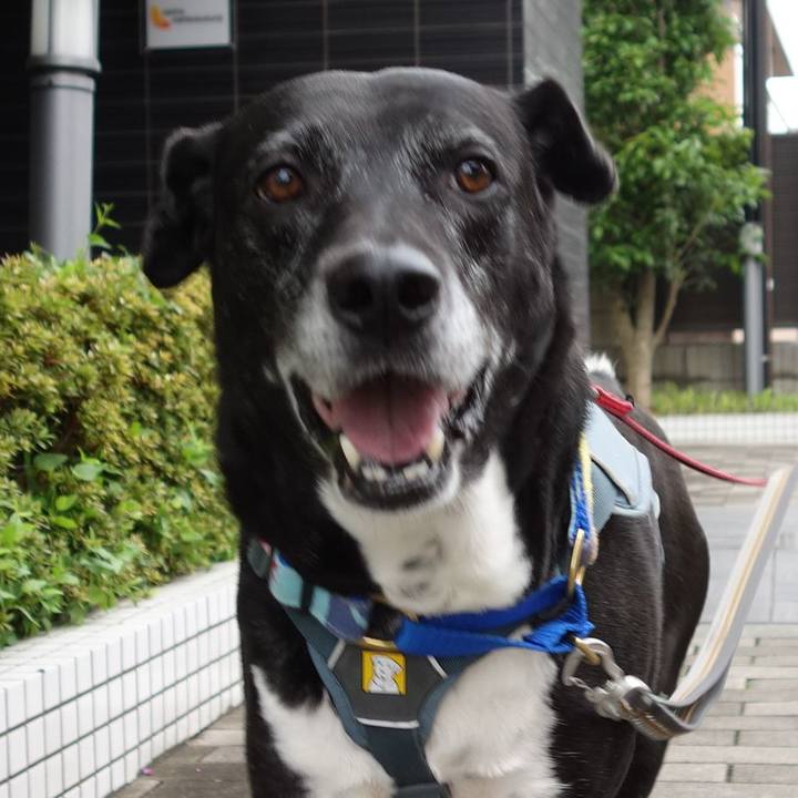 5a56eb9c 234f 4f51 a840 a172d2d5b3ab 1745453991060