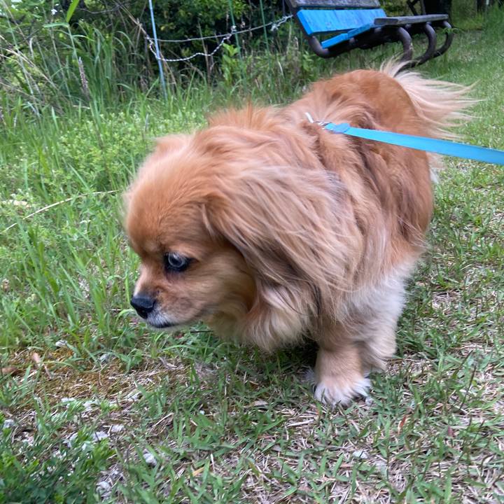 5a56ef19 aa05 4067 8a1f 806e2b0d2c65 1652046748588