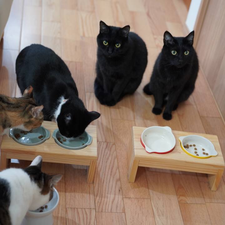 5a5750df 34ce 4f50 8d8d 53411983319f 1617665766370