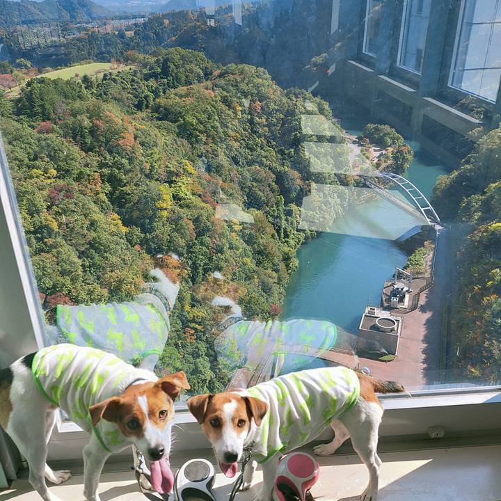 5a57748f 2e6e 480e 8e10 0596cc9c9ac6 1762502490468