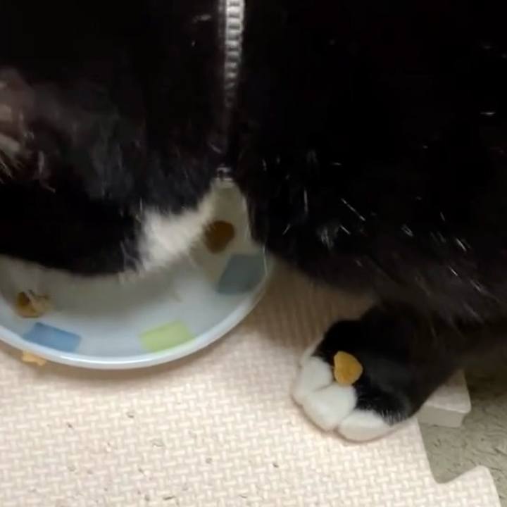 5a57854e 98f8 4a0c b351 5c35cfe3b71a 1729935154539