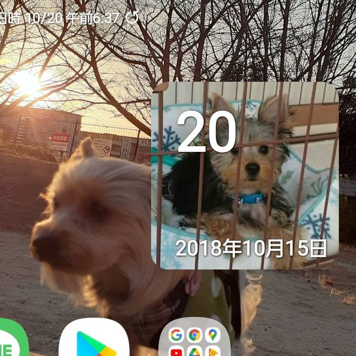 5a578b3a 1f4b 4d66 9551 3234af7b2cf8 1634679895097