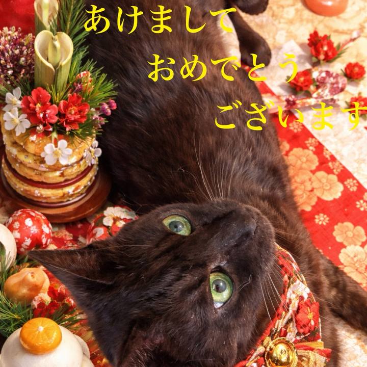 5a57971b 9acf 4fbb a8f6 b791112108fa 1767215900288