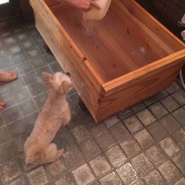 5a57a07b 7dfa 4c30 9a05 88a1f9426a9c 1556453489972