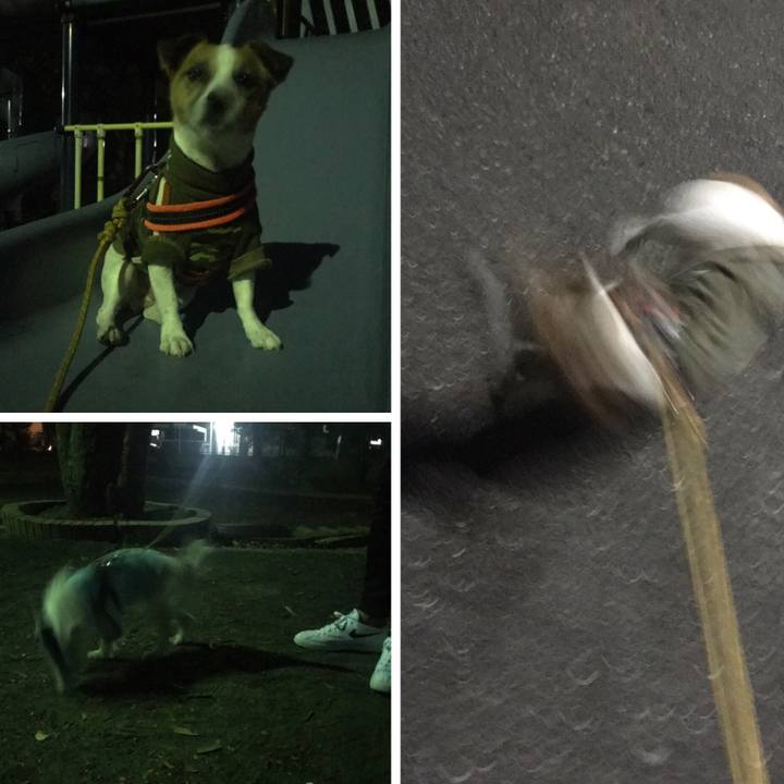 5a57b51f 2f49 4d57 bf0f 7d9aabd6abba 1541248348733