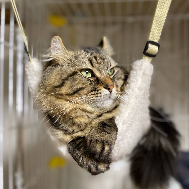 5a57f8b7 1047 4600 80aa 3dc36ae28172 1668915890132