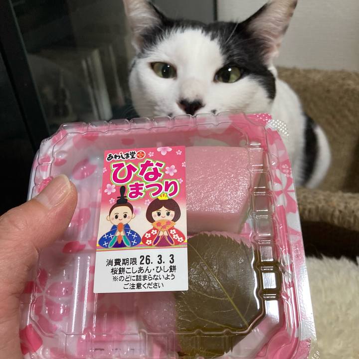 5a582a2d 80e5 4cdf 8f8f 9e9f4fe74683 1772363751694