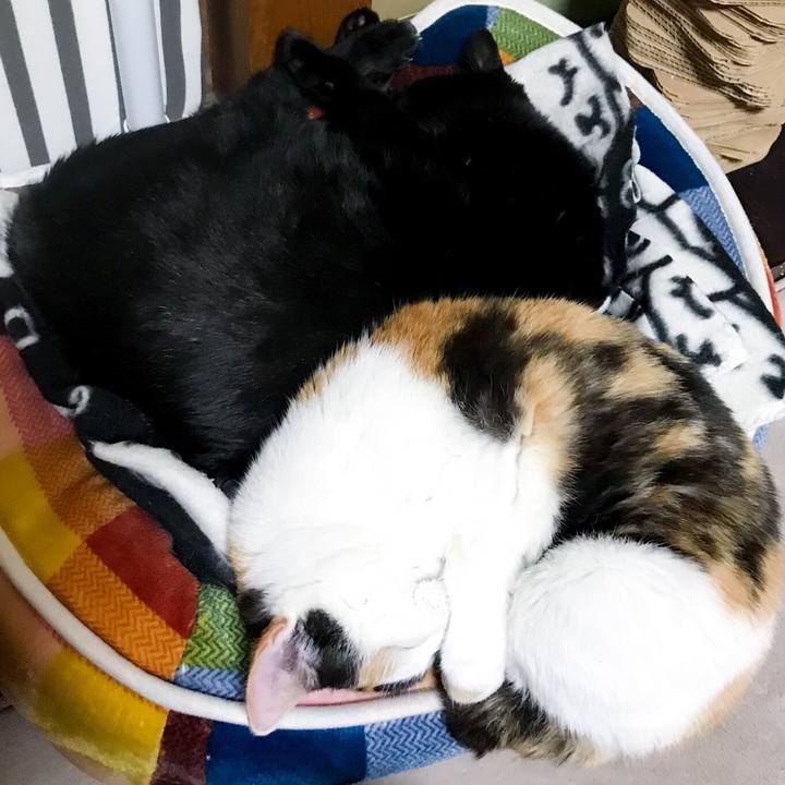 5a585111 f8a0 4ff0 9b9b 0014d03cbddb 1522421557092