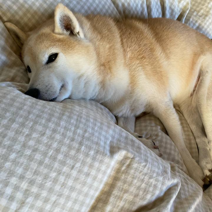 5a586fc1 86d1 4501 82c4 3ca18708a0e8 1645372638349