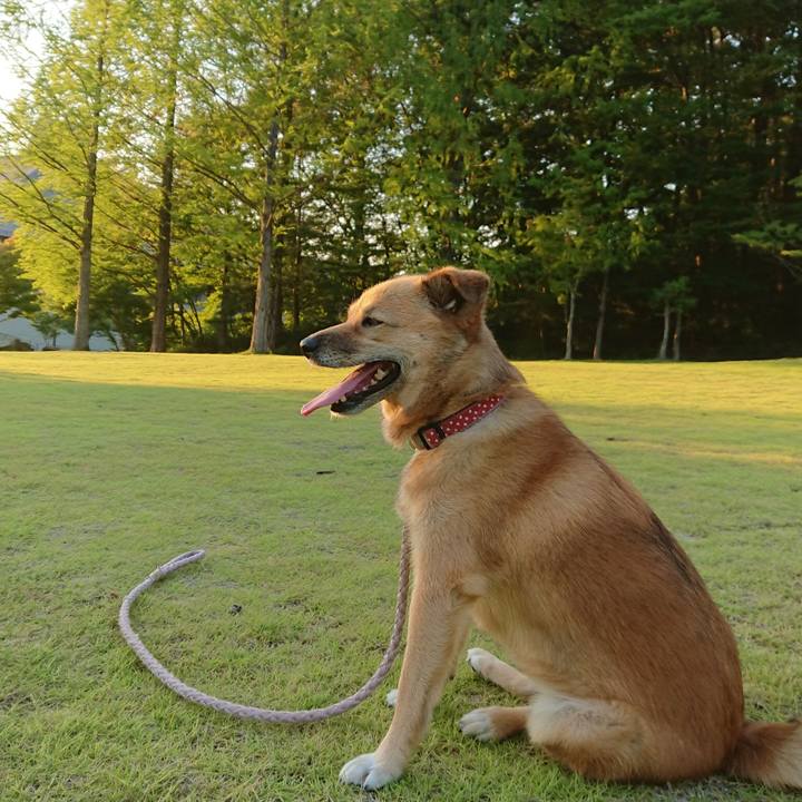 5a58714f 34e4 4c77 9615 97e009847b55 1599830324937