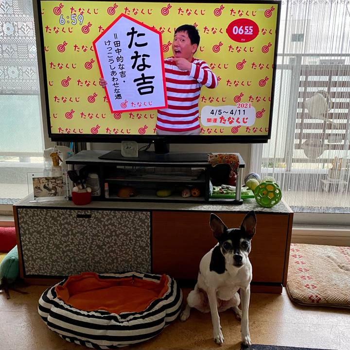 5a58c1c2 8e33 4a1d b313 4dd7b96f9982 1617574076128