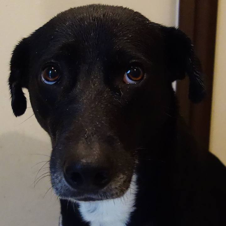 5a58cf25 c618 46e5 8651 d45d36800bb7 1615594373589