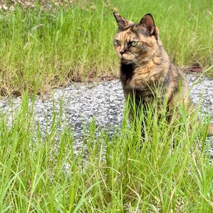 5a58d969 731f 43ca ba1e 8a5a4201310c 1757058202048