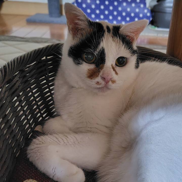 5a58e9d3 15ef 43f9 9fe4 7e30b573733e 1753442004830