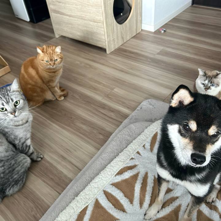 5a58fadd 0004 432e 9646 0ddbb67c7480 1708648481209