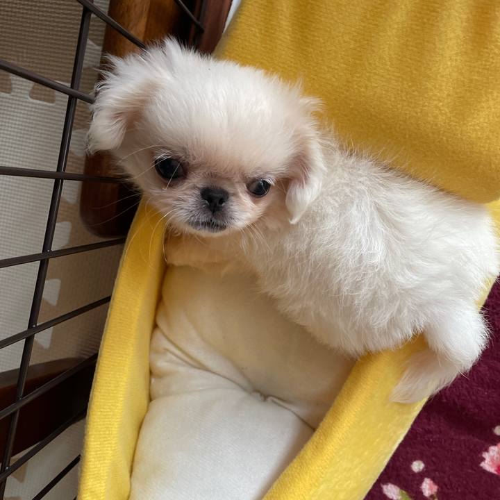 5a59032c 166d 4d53 9331 3661029e4dcf 1629683144106