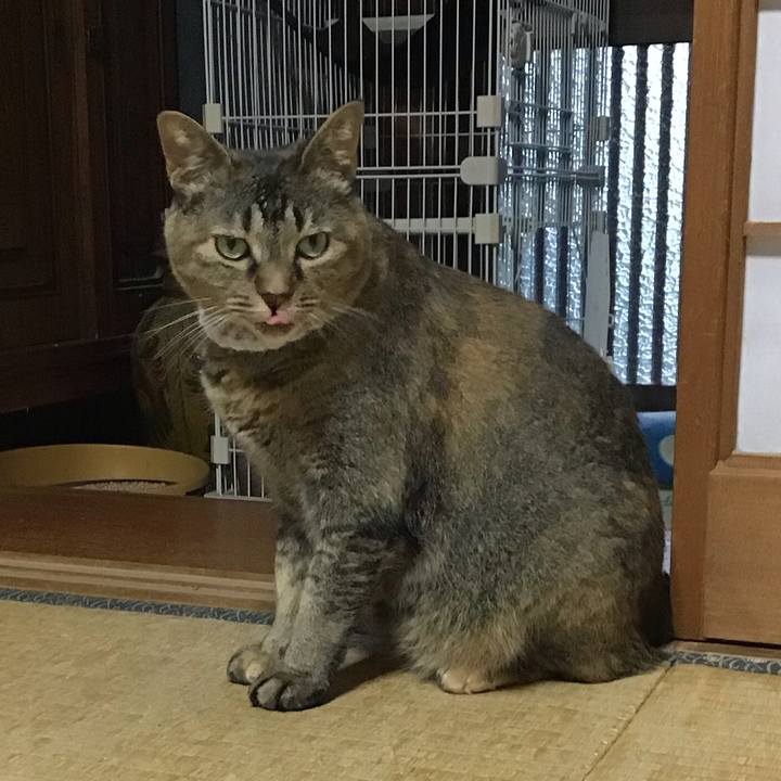 5a591fcb ec8e 4a68 8048 cd84f1ead439 1752572128796