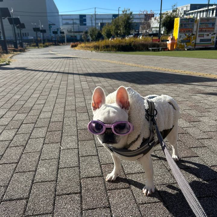 5a5925e9 7220 4449 a5e3 421fe0bcedd3 1767501785735