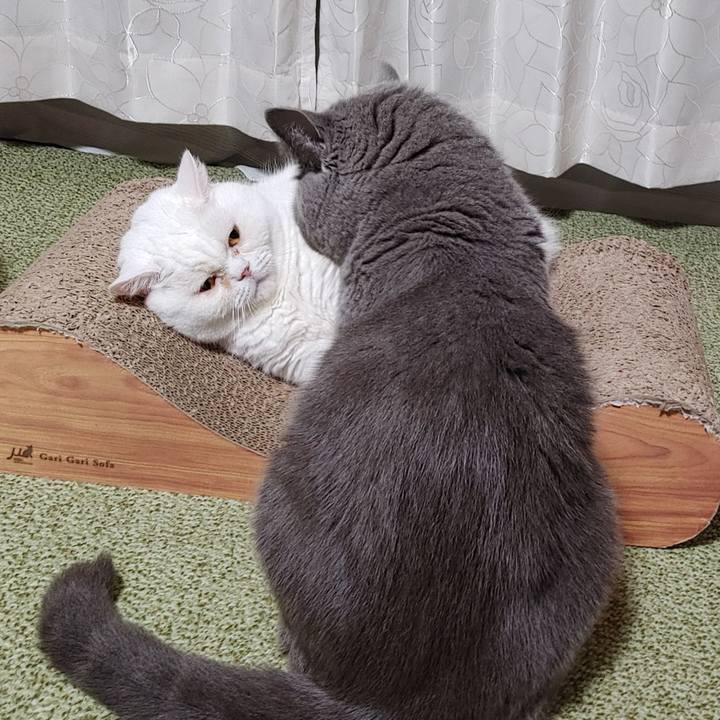 5a5995bc 8b8b 4531 9689 9cc8e62e24c6 1664449205072