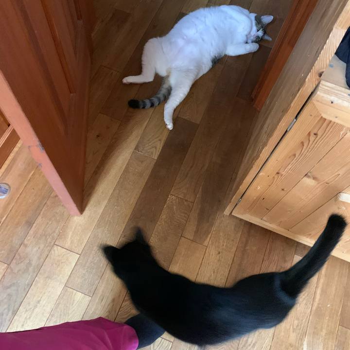 5a59c041 fc90 4384 9008 9b141da5750d 1626136276009