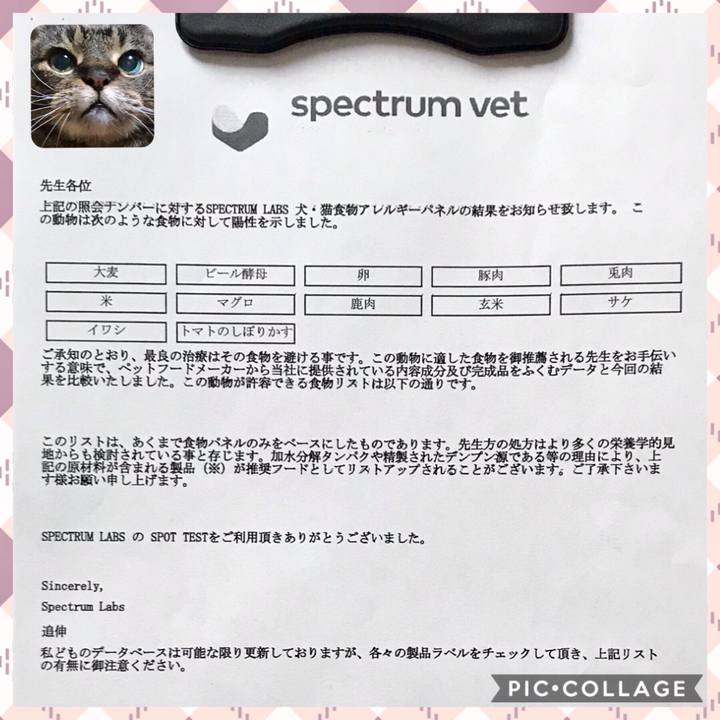 5a59ddd0 eccb 4d07 a7f5 c3981c5ad853 1549177807219