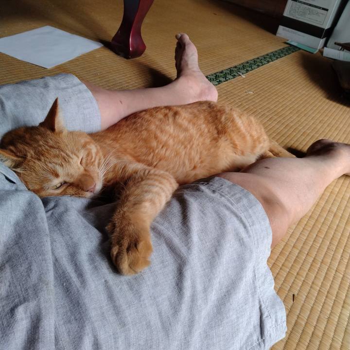 5a59ed18 4f16 4b3c a25c 4e58b3ece9b8 1694669554946