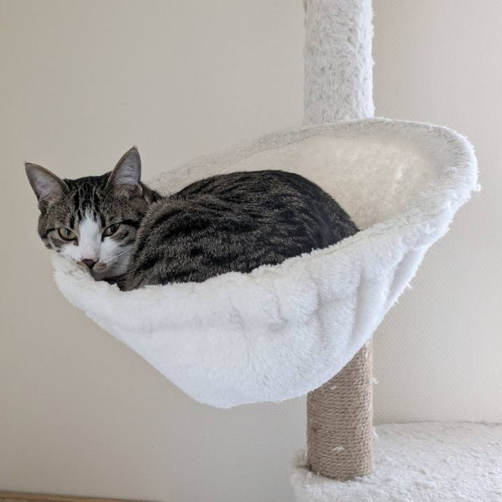 5a59fe99 d3e7 400f 9ccf 87b55b1805a6 1743810096240