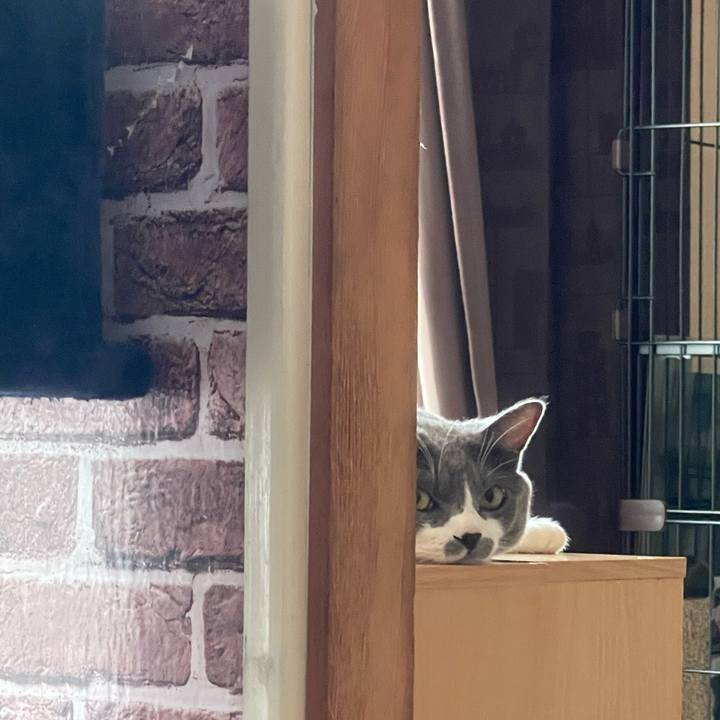 5a5a05d1 05e9 4ef4 b8a1 f89e1f9f6d61 1663106503757