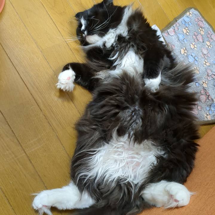 5a5a073b 56e4 4082 9377 e4ae03740b6e 1680784431436