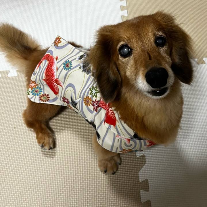 5a5a0885 bb47 4ddf a6e2 224cc24fc9c0 1660570642241